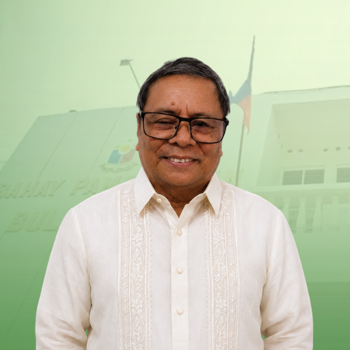 HON. ENRICO C. VILLAS